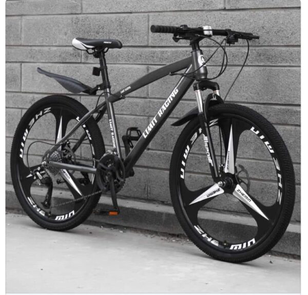 mountain bike adult